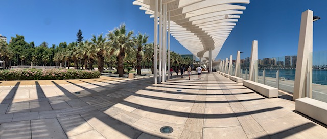 Málaga Haven with palm trees